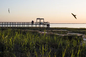 Bahía Sur educa en el cuidado del medio ambiente