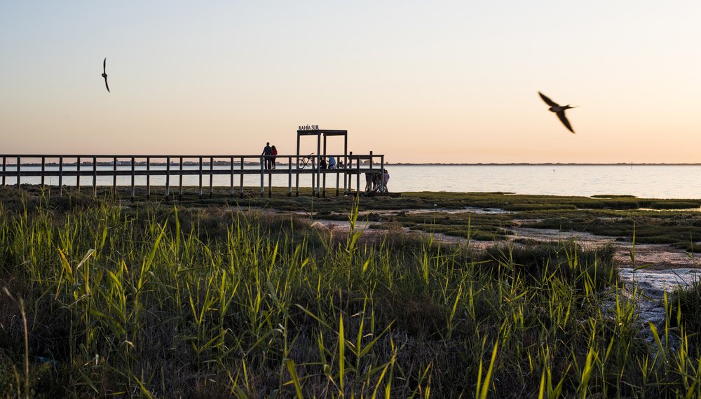 Bahía Sur educa en el cuidado del medio ambiente