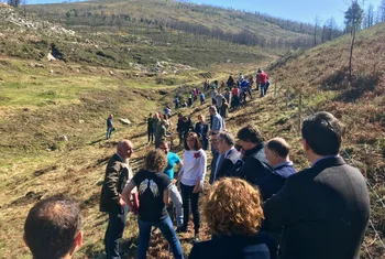 FSC España, Carrefour Property, Carmila y Carrefour reforestan un bosque en Galicia