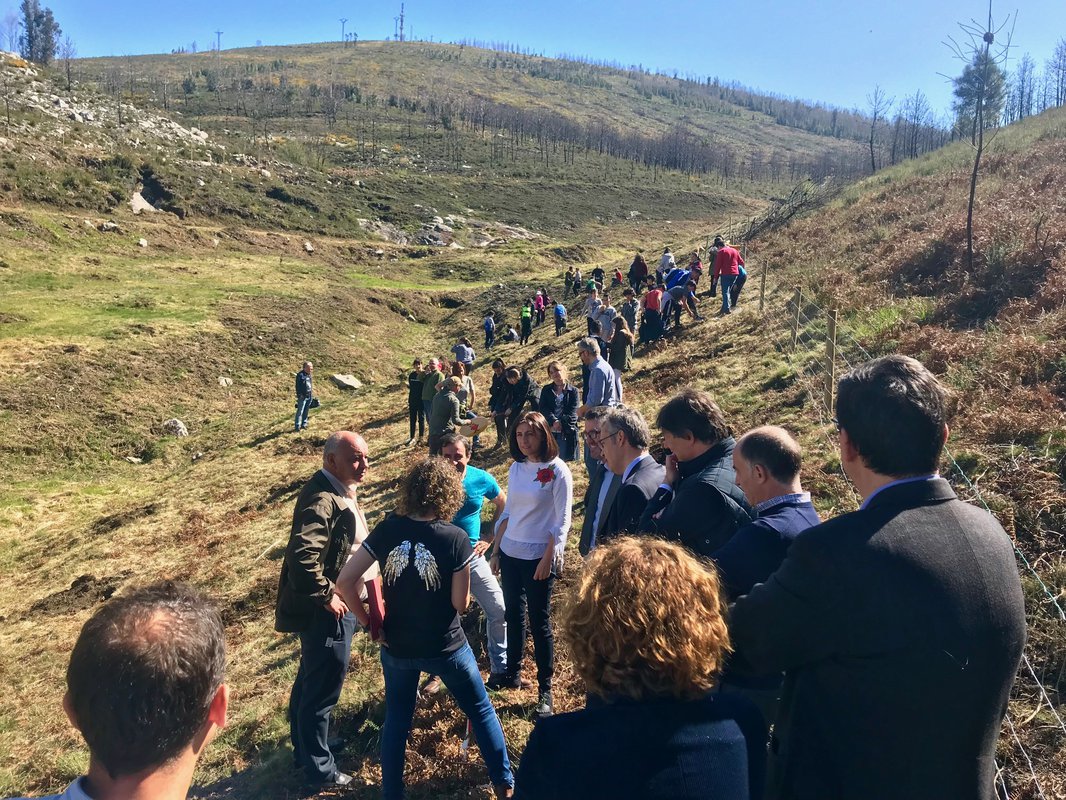 FSC España, Carrefour Property, Carmila y Carrefour reforestan un bosque en Galicia
