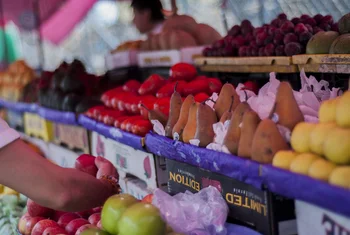 Marcas de Restauración y Too Good To Go combaten el desperdicio alimentario