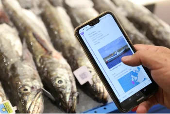 Carrefour usa el blockchain para su pescado fresco