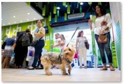 Tiendanimal se instala en el corazón de Zaragoza