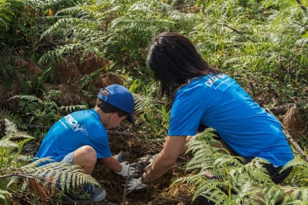 Más de 6.000 voluntarios cuidan el medio ambiente con Decathlon