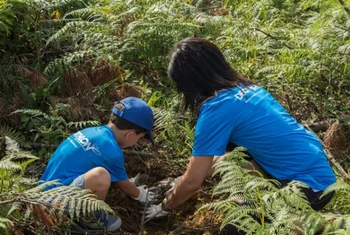 Más de 6.000 voluntarios cuidan el medio ambiente con Decathlon