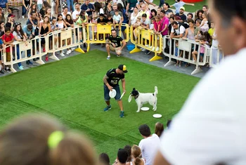 Porto Pi bate un récord de adopción de mascotas en el Animal Fest