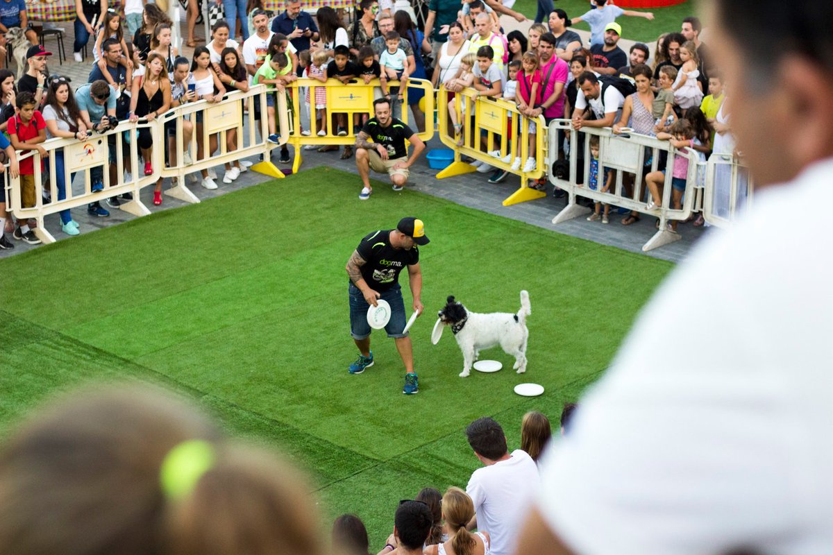 Porto Pi bate un récord de adopción de mascotas en el Animal Fest