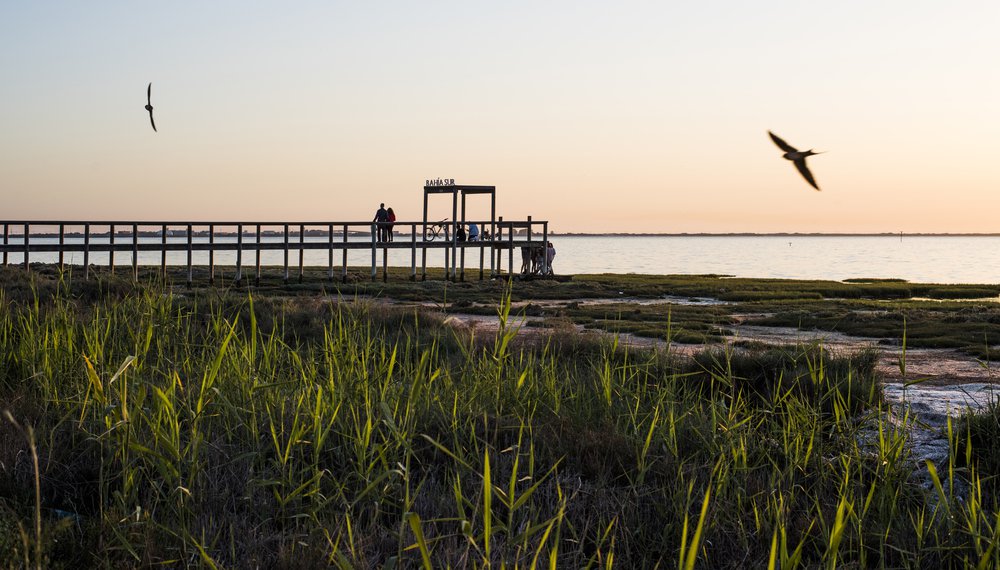 Bahía Sur se vuelve WILD