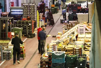 La Red de Mercas vende 8,8 millones de toneladas de alimentos