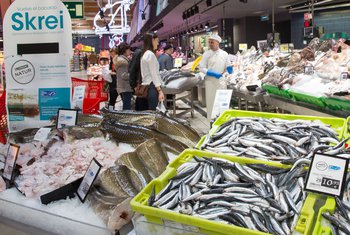 EROSKI supera las 3.100 toneladas de pescado sostenible