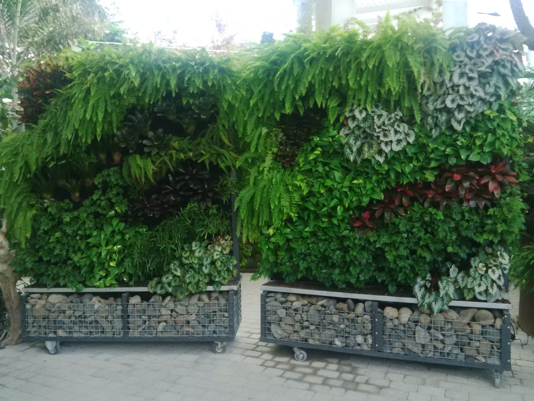 Un biombo verde que limpia el entorno