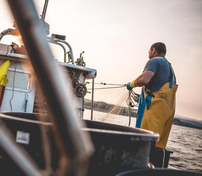Carrefour ha comprado durante el último año 11.800 toneladas de pescado en lonjas locales
