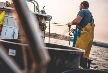 Carrefour ha comprado durante el último año 11.800 toneladas de pescado en lonjas locales