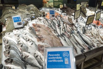 EROSKI premiada por su apuesta por la pesca sostenible