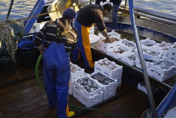 Carrefour apoya al sector pesquero español