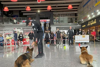 Silicius impulsa la convivencia saludable de mascotas y personas en sus centros comerciales