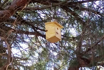 El Tormes instala nidos en los árboles de sus jardines exteriores