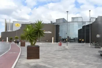 Salera inicia la reforestación en Bejís tras el incendio de 2022