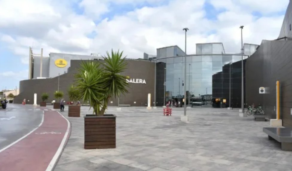 Salera inicia la reforestación en Bejís tras el incendio de 2022