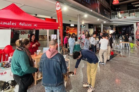 Silicius promueve el bienestar animal en sus centros comerciales