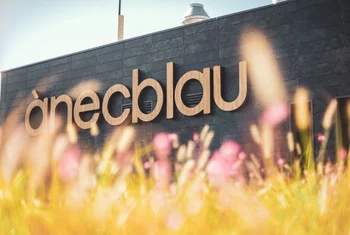 El 20º aniversario de Ànecblau dispara su afluencia un 7,2%