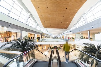 Puerto Venencia recibe la llegada de dos nuevos operadores