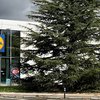 Lidl inaugura su sexto establecimiento en Pamplona