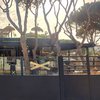Sibuya abre un nuevo restaurante en Chiclana de la Frontera, el segundo en la provincia de Cádiz