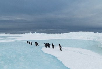 Arenas de Barcelona acoge la exposición inmersiva Antarctica Experience
