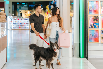 El Faro celebra ‘PerriGlam’