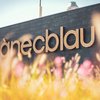El 20º aniversario de Ànecblau dispara su afluencia un 7,2%