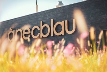 El 20º aniversario de Ànecblau dispara su afluencia un 7,2%