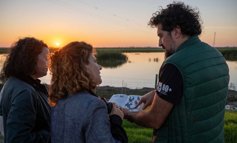 proyectos sociales ikea españa