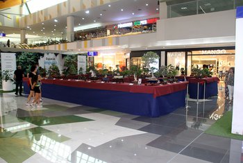 La 'Muestra de bonsáis' regresa al centro comercial L'Aljub