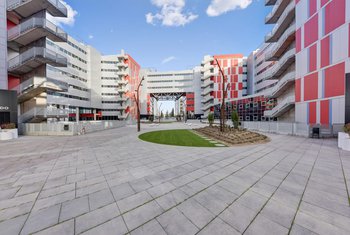 Las rentas brutas de Silicius crecen un 11,2% hasta los 7,5 millones de euros