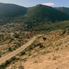 Klépierre reforesta 10 hectáreas en España