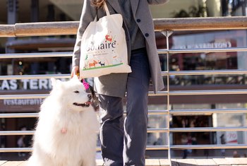 El centro comercial Bonaire apuesta por la tendencia “dog friendly”
