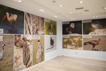 El Tormes inaugura la exposición “Mirando al cielo de Salamanca”