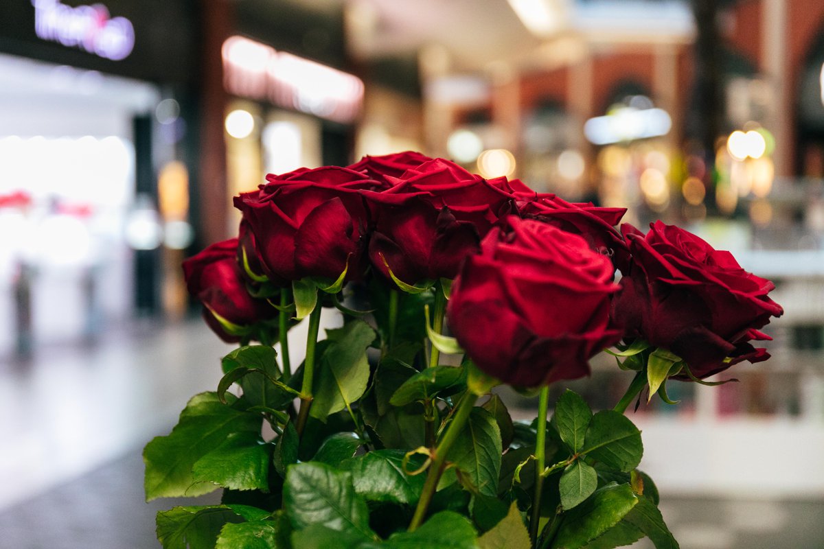 Espai Gironès celebra Sant Jordi