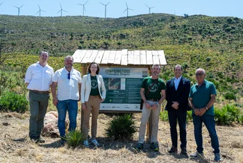 Carrefour, FSC y Mahou reforestan el monte Las Piñas de Tarifa tras el incendio de 2024