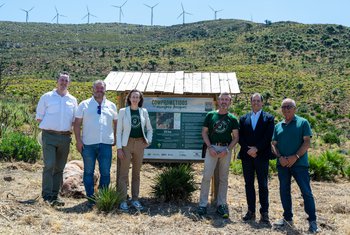 Carrefour, FSC y Mahou reforestan el monte Las Piñas de Tarifa tras el incendio de 2024
