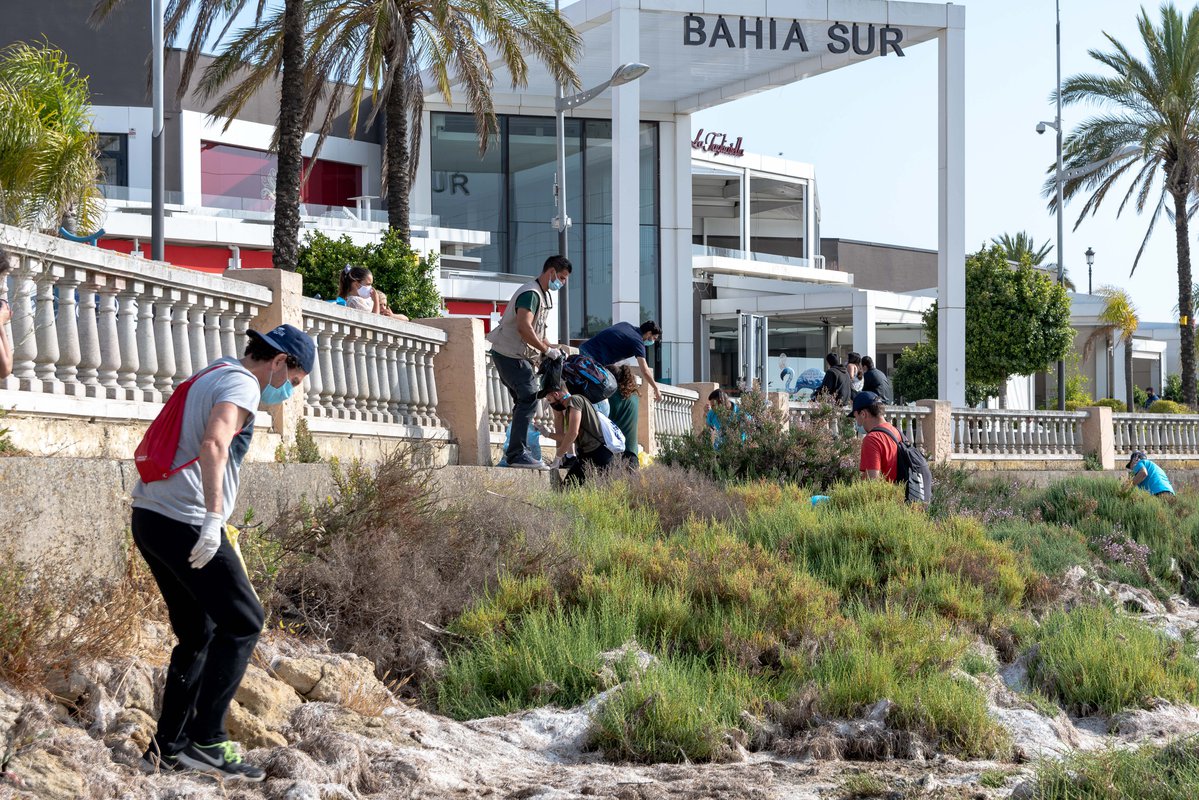 Bahía Sur emprende una campaña para limpiar la Bahía de Cádiz