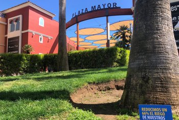 Plaza Mayor pone en marcha un nuevo plan anti-sequía