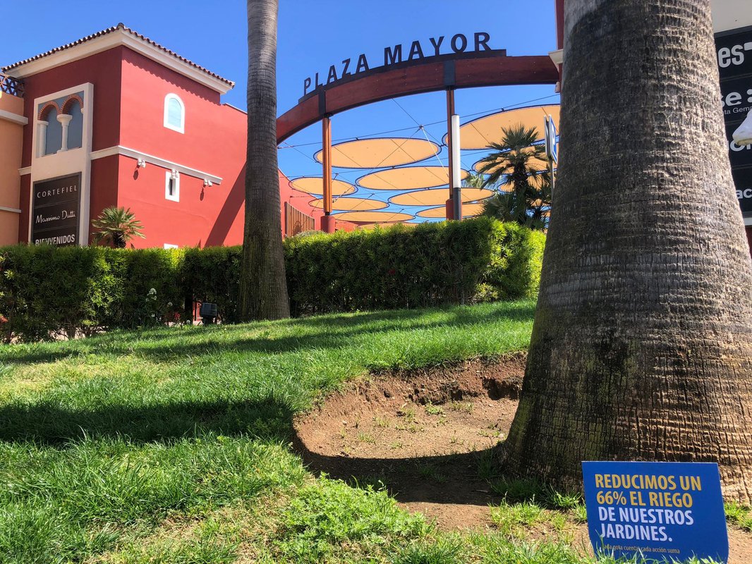 Plaza Mayor pone en marcha un nuevo plan anti-sequía