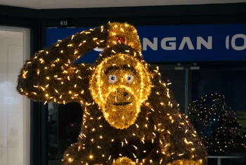 Parc Central atrae a 1 millón de personas con su campaña de educación ambiental