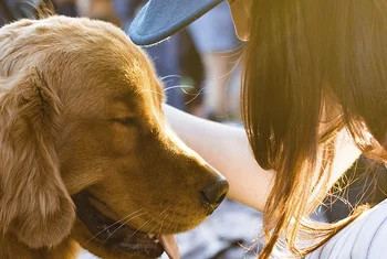 Porto Pi celebra Adoption Day, para fomentar la adopción de animales
