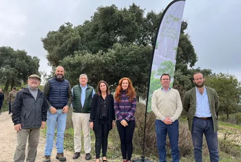Silicius planta 1.500 árboles en el Parque Natural de los Alcornocales, en Cádiz