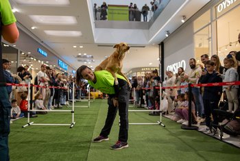 Torrecárdenas, un año siendo Pet Friendly