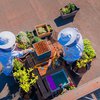 Zenia Boulevard instala una colmena de abejas para impulsar la biodiversidad