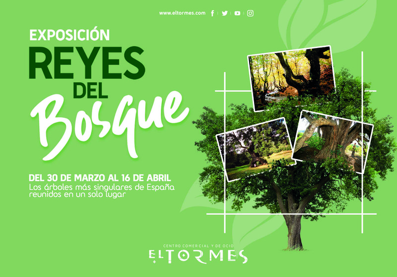 centro comercial EL TORMES - exposición Los Reyes del bosque  03